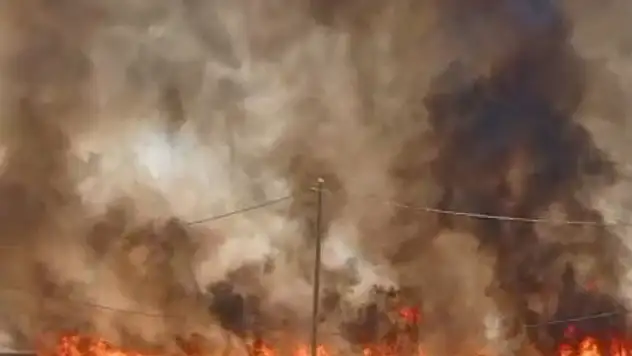 3 ayrı bölgede tarla yangını