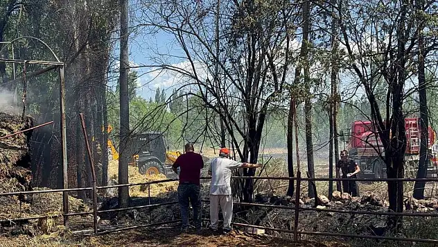 Bine yakın saman balyası yandı