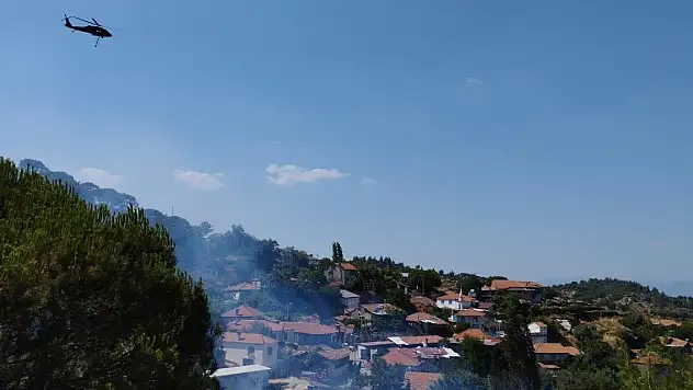 Aydın'da iki ilçede ev yangını evlere ve ormana sıçradı