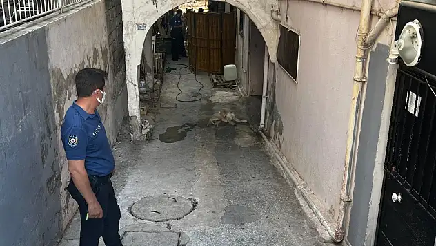 Köpeğini gezdirip geldiğinde, arkadaşını evde ölü buldu
