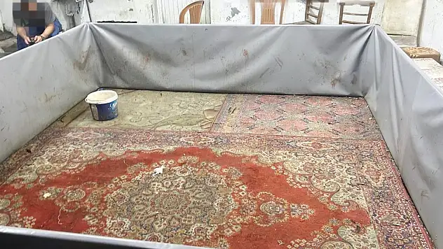 Horoz dövüştürüp, bahis oynadılar