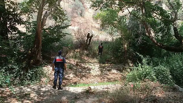 Mangal yaktılar 63 bin lira ceza aldılar