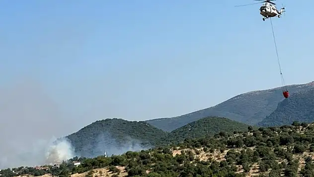 Balıkesir'deki orman yangınına müdahale ediliyor