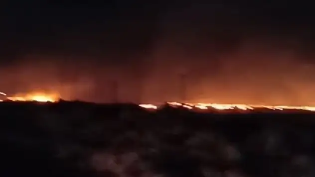 Mardin'deki orman yangını söndürüldü