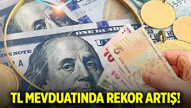 TL mevduatında rekor artış! Yastık altından bankaya geçiş hızlanıyor