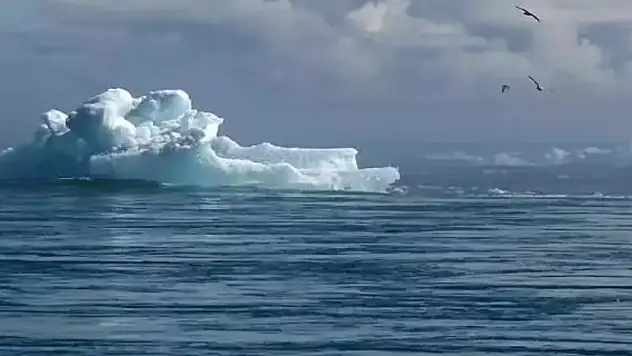 Aşırı sıcaklıklar paniğe neden oldu! Okyanuslarda büyük tehlike