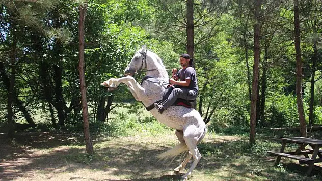 'Allah' denilince şaha kalkan at, sosyal medyada ilgi odağı oldu