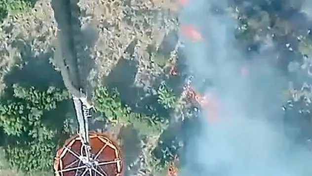 Manisa'da orman yangını