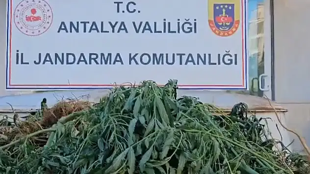 Uyuşturucu tacirlerine 13 ilde operasyon! 28 tutuklama