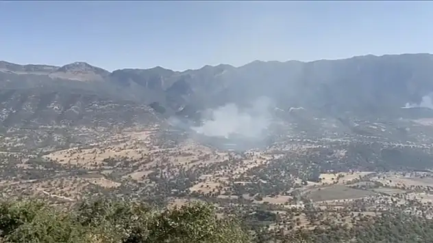 Terör örgütü PKK, Irak'ın kuzeyinde ormanları yakmaya başladı