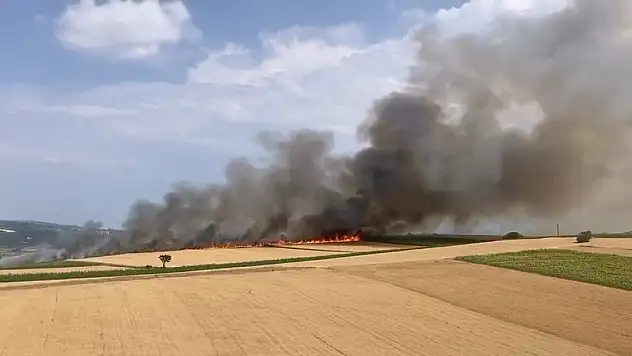 Ekili tarlalarda yangın çıktı! 80 dönüm alan küle döndü