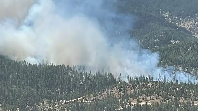 Karaman'da çıkan orman yangınına havadan ve karadan müdahale ediliyor