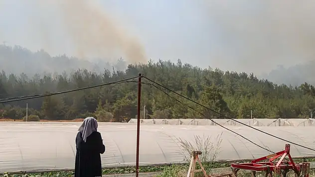 İzmir'de çıkan orman yangınına müdahale ediliyor