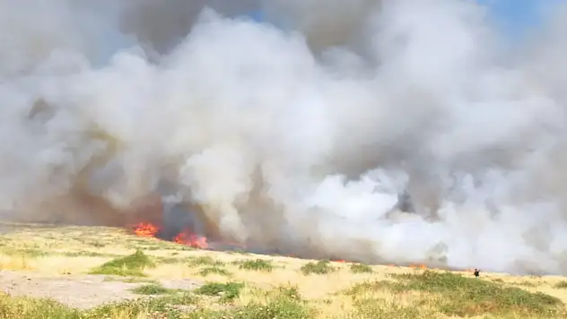 Suriye sınırında, mayınlı bölgede ot yangını