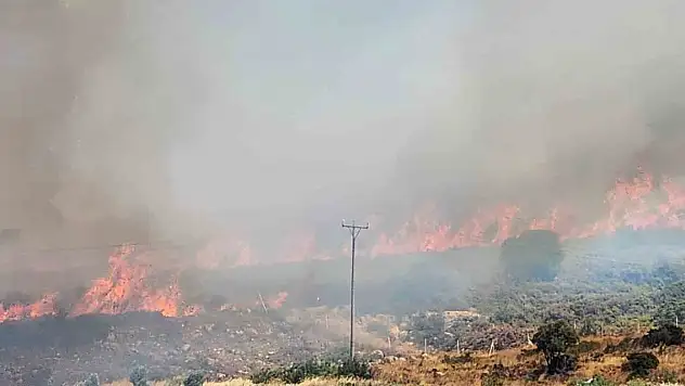 İzmir Menderes'teki yangının ardından bir yangın da Çeşme'de başladı
