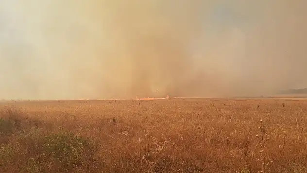 Ciğerlerimiz yanıyor! Birçok ilde orman yangını