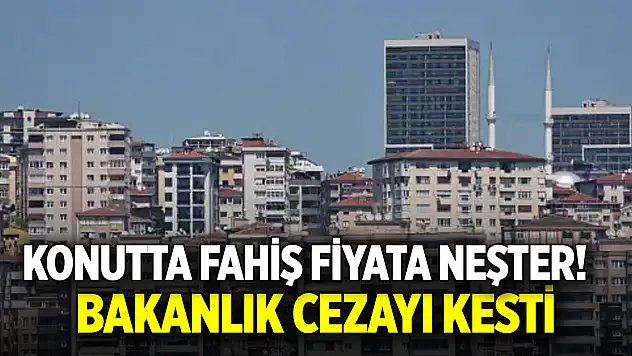 Konutta fahiş fiyata neşter! Bakanlık cezayı kesti