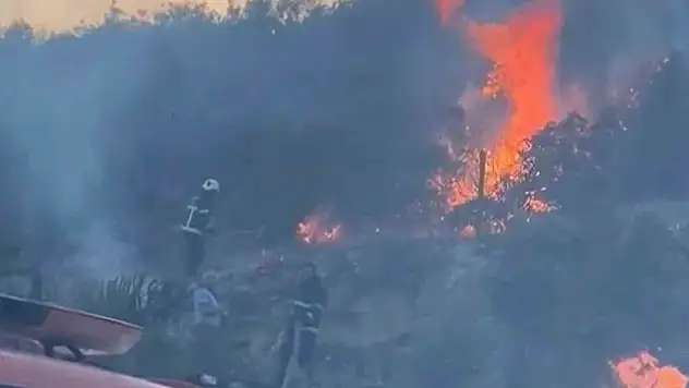 Gaziantep'te orman yangını
