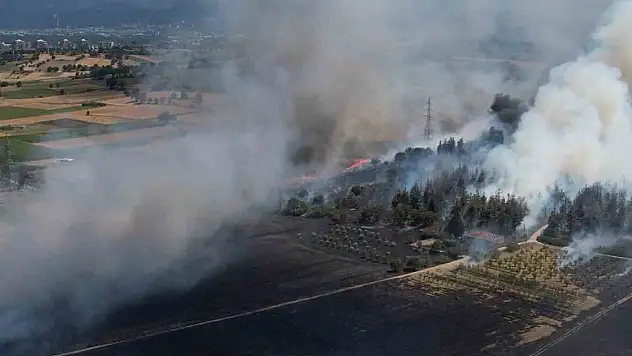 Bursa'daki yangın ormana sıçradı