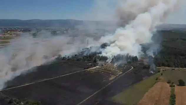 Bursa'da yasak kararı: 1 Ekim'e kadar sürecek