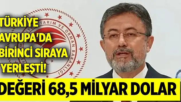 Türkiye Avrupa'da birinci sıraya yerleşti! Değeri 68,5 milyar dolar
