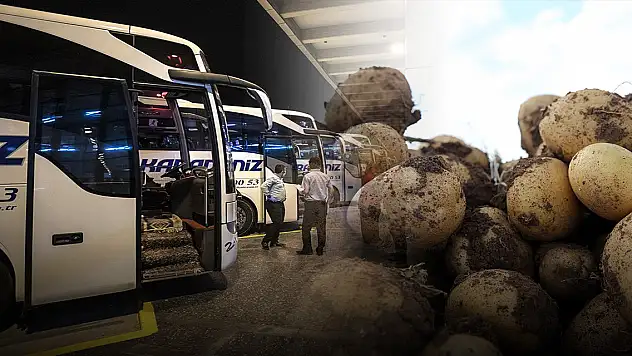 Haziranda fiyatı en fazla artan ve azalan ürünler belli oldu