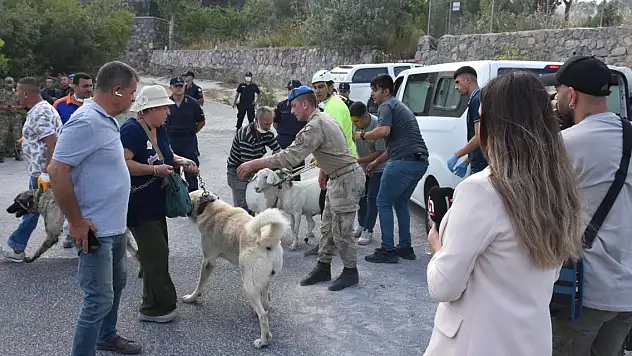 Orman yangını! 2 mahalle boşaltıldı