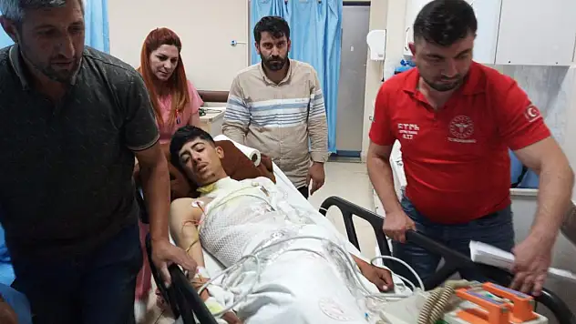 Hayvan otlatırken yıldırım isabet eden 2 kardeş yaralandı 20 koyun öldü