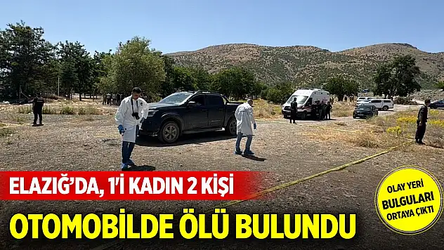Elazığ'da, 1'i kadın 2 kişi otomobilde silahla vurulmuş olarak ölü bulundu
