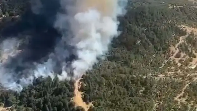 İzmir'de orman yangınına ekiplerce müdahale ediliyor