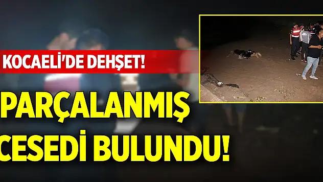 Kocaeli'de dehşet! Parçalanmış cesedi bulundu!