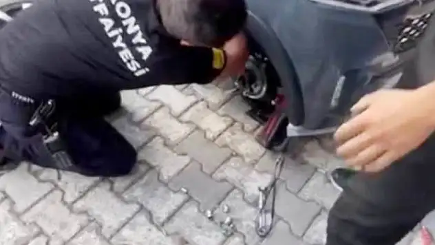 Konya'da yavru köpek için seferber oldular