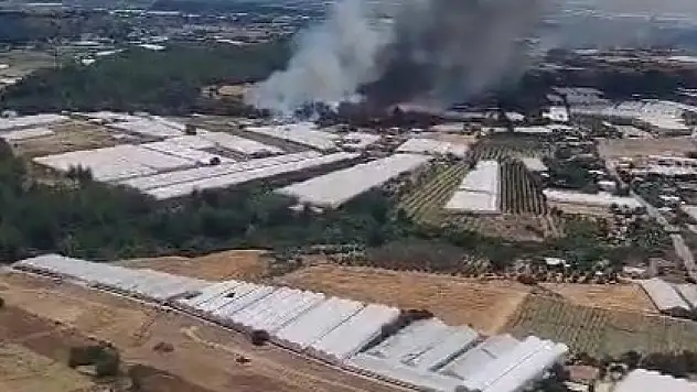 Antalya'da orman yangını