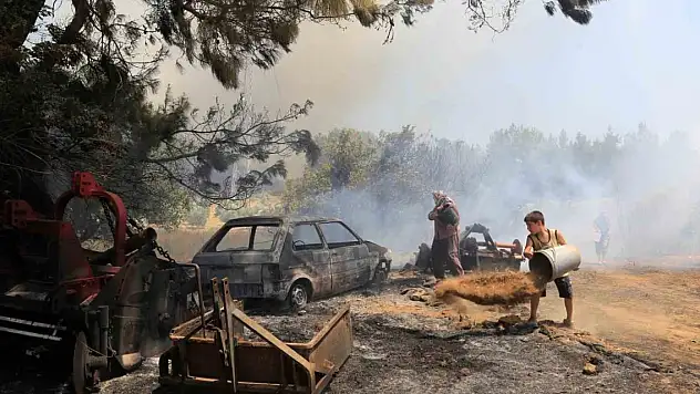 Antalya'daki yangınında seralar büyük zarar gördü