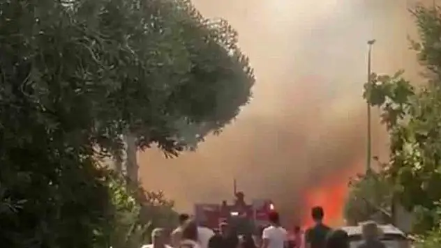 Foça'daki orman yangınına müdahale