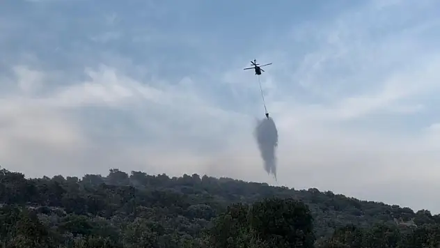 Diyarbakır'da çıkan orman yangınları, büyümeden söndürüldü