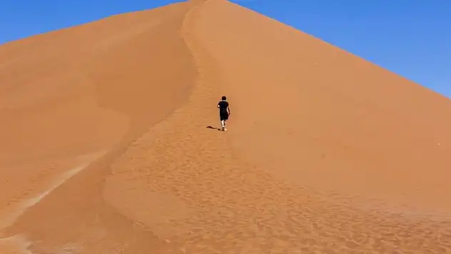 Çöl bölgesinde kaybolan 14 kişinin cansız bedenine ulaşıldı