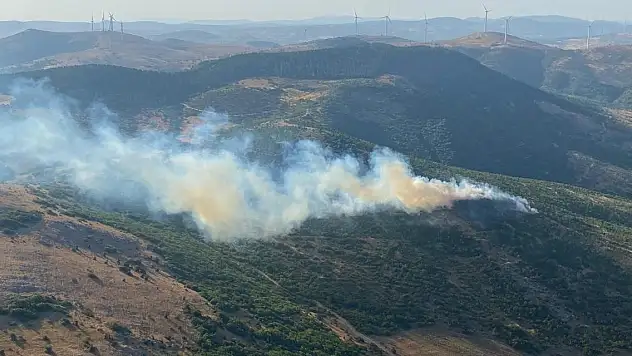 Balıkesir'de orman yangını