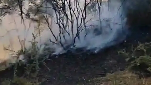 Yıldırım yangına neden oldu