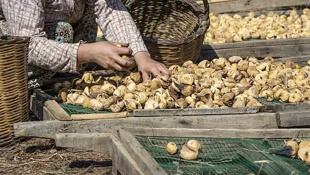 Kuru meyve ihracatı 829 milyon dolara yükseldi