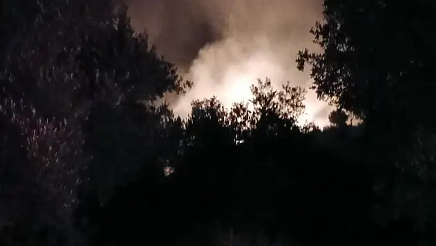 Antalya'da orman yangını... 7 dekarlık alan zarar gördü