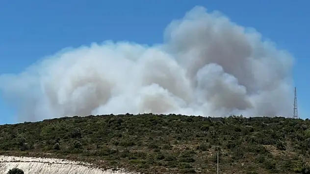 Son Dakika! İzmir Çeşme'deki yangından acı haber