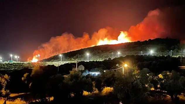 İzmir'deki orman yangınıyla ilgili 4 gözaltı