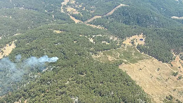 Aynı ilde 11 noktada orman yangını!