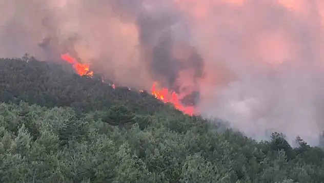 Uşak'ta ormanlık alandaki çıkan yangına müdahale devam ediyor