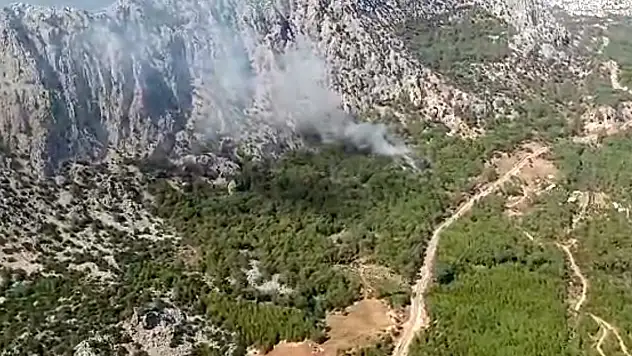 Antalya'da orman yangını