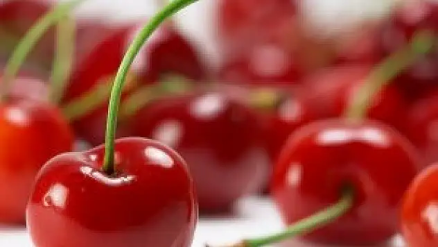 Konya vişne üretiminde ikinci sırada