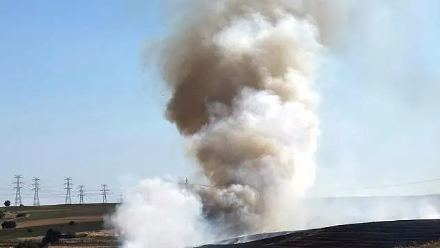 Tekirdağ'da çiftlikteki yangında 500 dönüm tarım arazisi zarar gördü