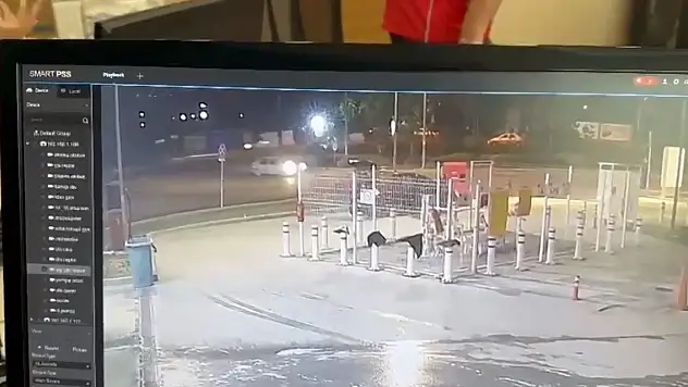 34 kaydı bulunan oto faresi 150 güvenlik kamerası izlenerek yakalandı