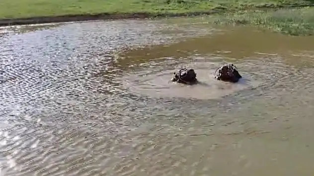 Erzurum'da gölete giren 3 çocuktan biri boğuldu